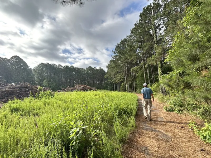 More than 350 tons of asphalt removed for reforestation project