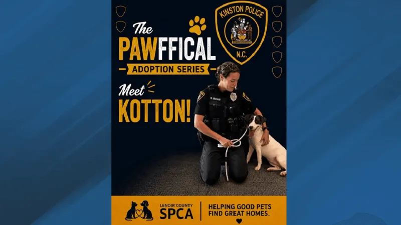 KPD's "Pawfficial Adoption Series" spotlights Kotton as she awaits a permanent home