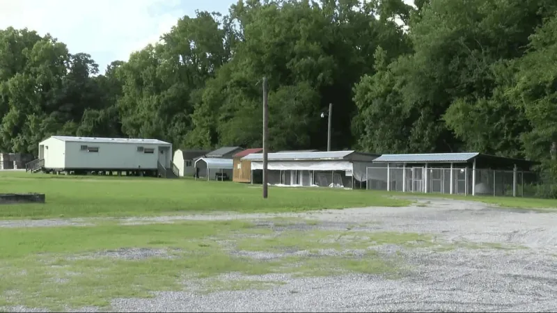 Bertie County Animal Shelter stays closed after state denies registration renewal
