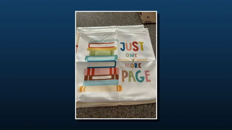 Pillow covers donation helps create a cozy reading space for Pollocksville Panthers