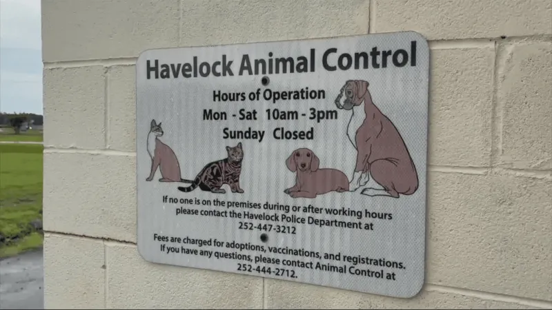 Havelock roundtable to address concerns over animal shelter volunteer program