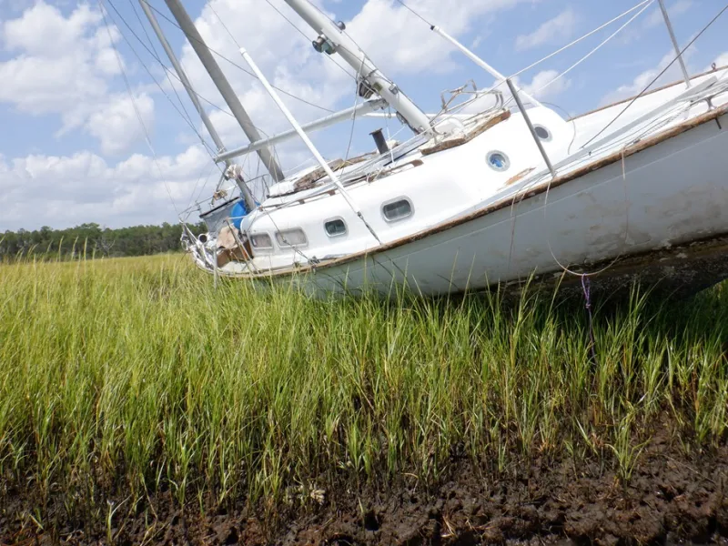 Workshops to offer tools to reduce, address marine debris