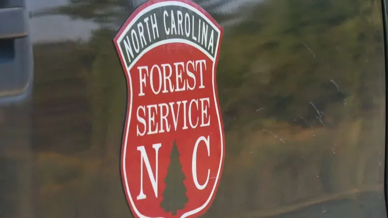 N.C. Forest Service confirms $5.6M in grants for urban forestry in 19 communities