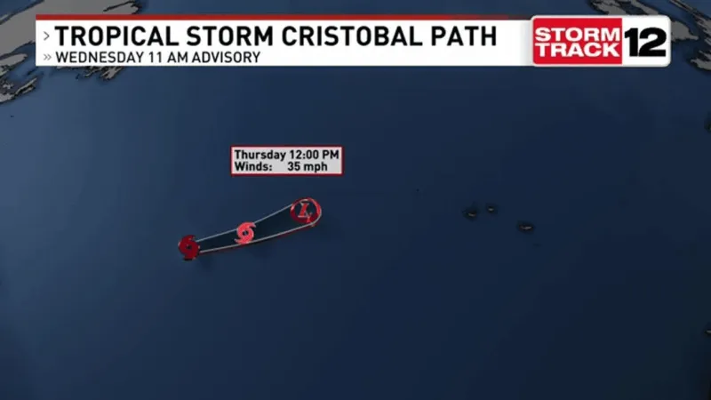 Tropical Storm Cristobal forms in the Atlantic.