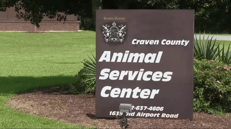 Craven County officials urge residents to stop abandoning dogs as shelters near capacity