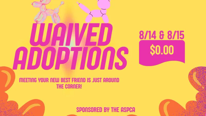 Craven-Pamlico Animal Services urges families to adopt free pets during two-day event