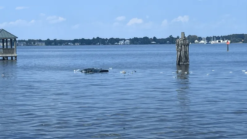 Sinking vehicle draws emergency response at Union Point Park in New Bern