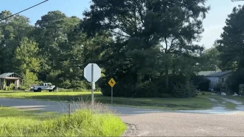 Deer crashes through windshield, kicks occupants in Surf City crash