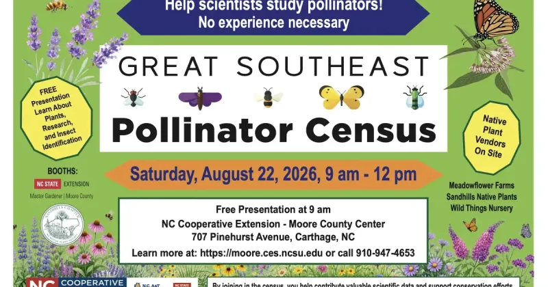 Participate in the Great Southeast Pollinator Census