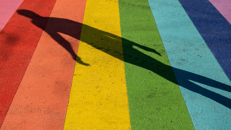 Gay or Queer: an old debate revived