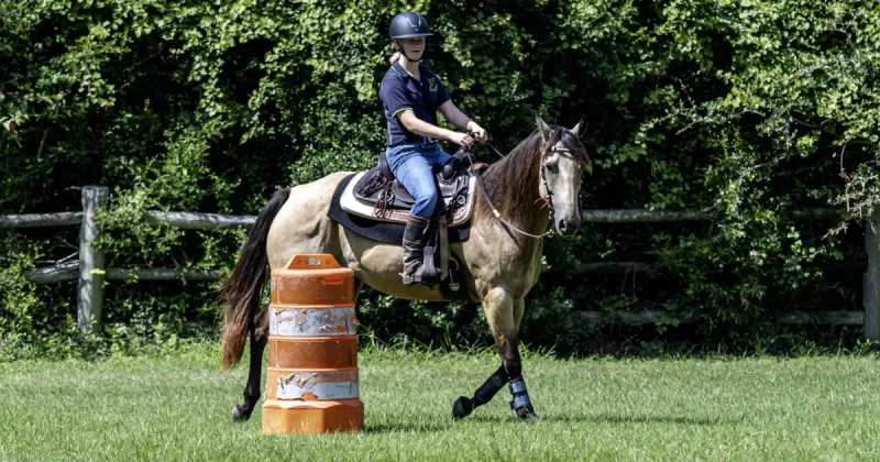 Area Pony Club Has Some Fun in the Sun