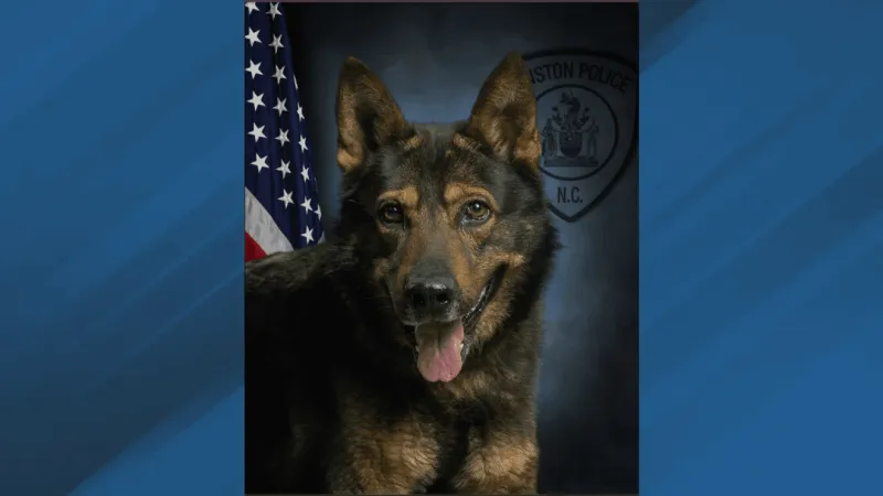 Kinston police K-9 Nero retires after more than seven years of service