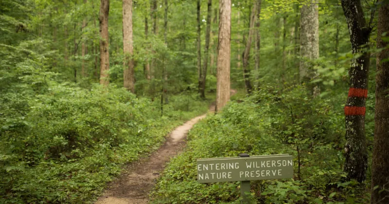 Seven Peaceful Nature Preserves to Explore in Raleigh, N.C.