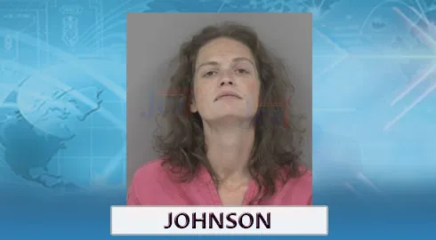 Woman, Pit Bull Found Inside SUV During Early-Morning Break-In Call