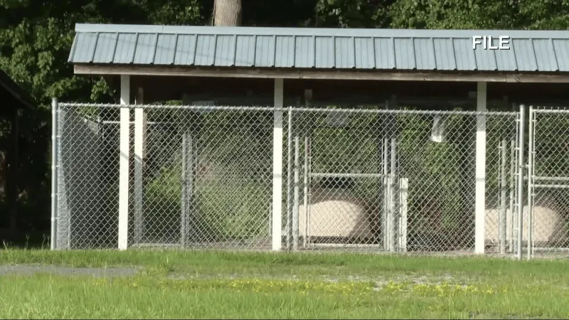 Bertie County Animal Shelter still closed weeks after state denied renewal