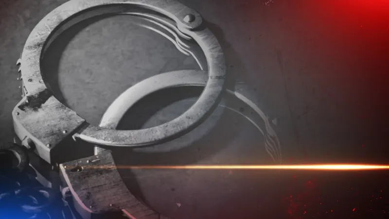 Multi-agency child sex sting leads to 14 arrests, including Castle Hayne man