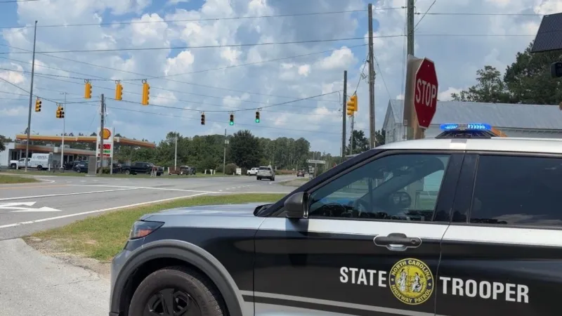 Drivers urged to slow and prepare to stop at new signal near Chicod Elementary