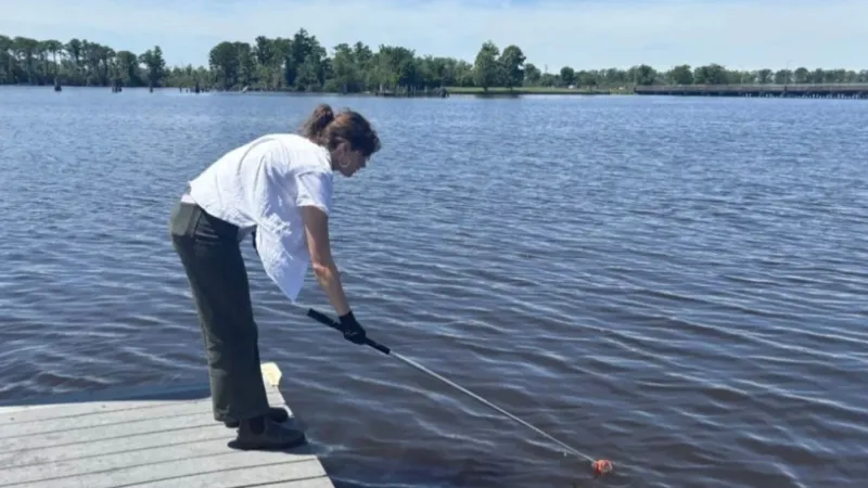 Sound Rivers: 11 sites in Neuse and Tar-Pamlico watersheds fail water-quality tests