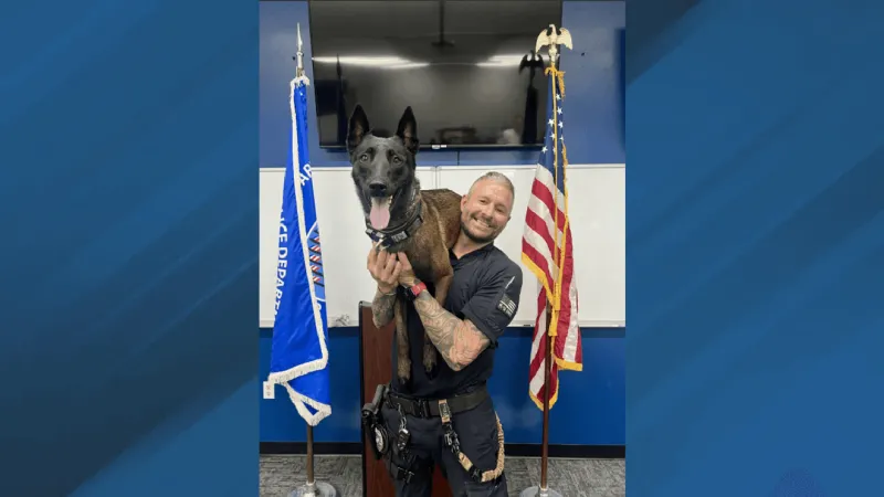 Havelock police mourn K-9 Freddy after brief battle with aggressive cancer