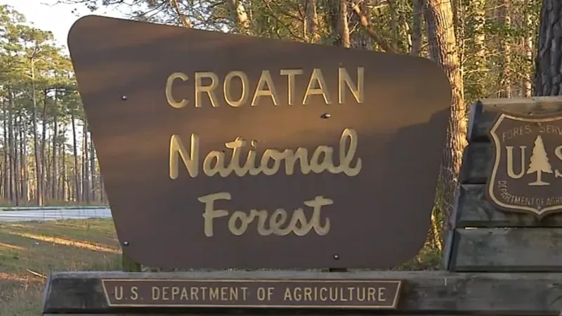 Crews rescue hiker's dog after heat emergency in Croatan Forest