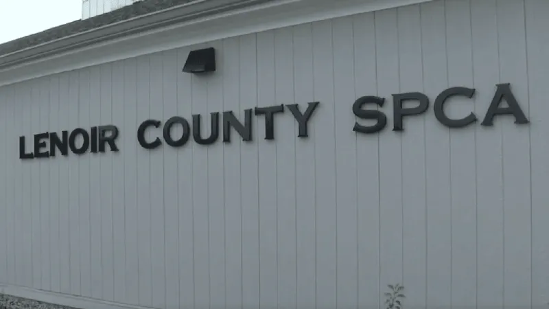 Lenoir County SPCA bringing adoptable dogs to Down East Bird Dawgs game