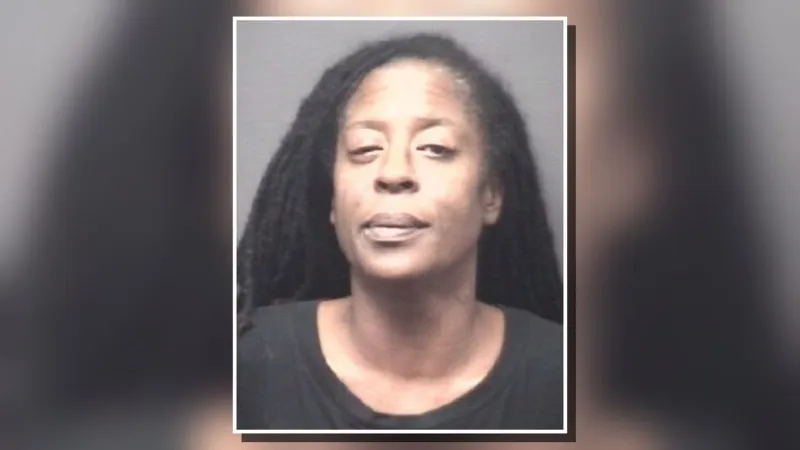 Farmville woman accused of stabbing man during domestic violence incident