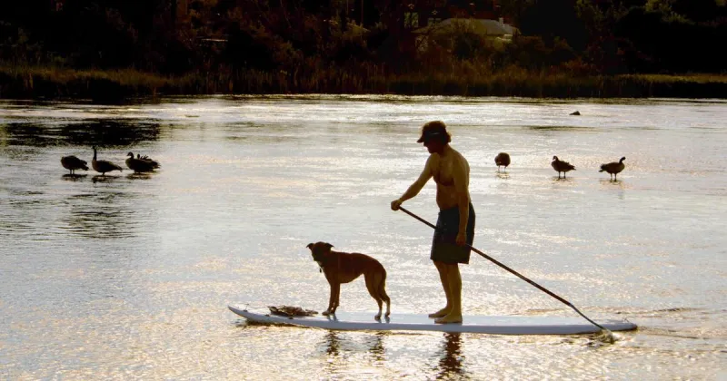 US cities where wellness is thriving right now