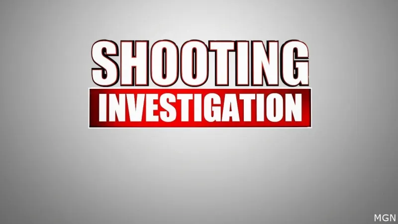 Wilmington police investigating shooting on Metting Road