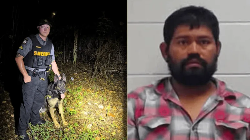 K9 Marco tracks down driver accused of Tarboro hit-and-run