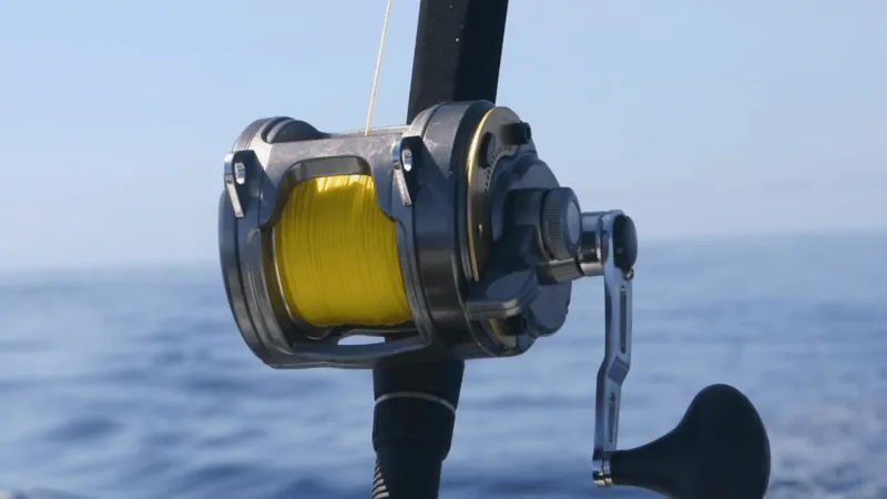 Fishermen urged to check updated Spanish mackerel limits before heading out