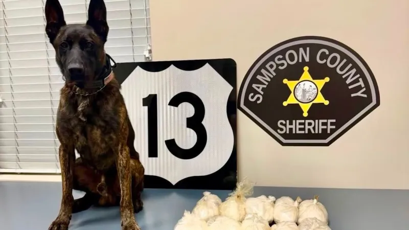 K-9 alert leads deputies to 4.6 kilograms of suspected meth in Sampson County stop