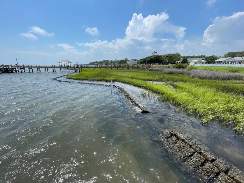 Webinar to cover benefits, permitting of living shorelines