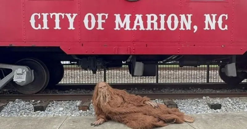 The WNC Bigfoot Festival is upon us. Here's everything you need to know for the weekend.