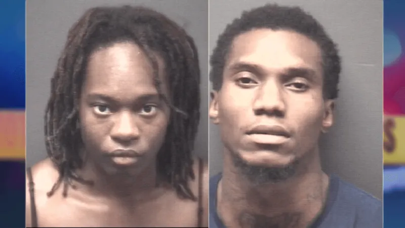 Two charged after shots fire into Greenville apartment