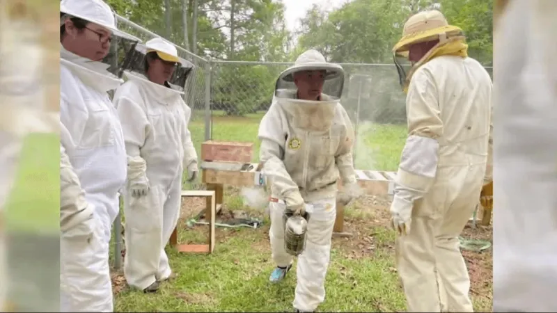 Craven-Pamlico beekeepers to host beginner beekeeping school Oct. 17-Nov. 14