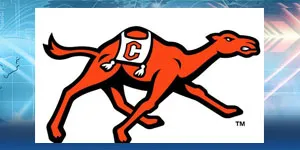 Campbell Names Interim Athletic Director, Begins National Search