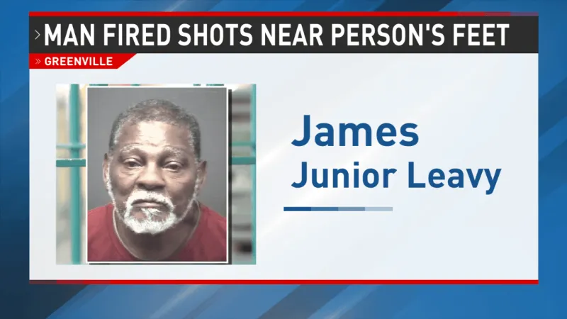 Greenville man held on $100,000 bond after police say he pointed gun, fired near person