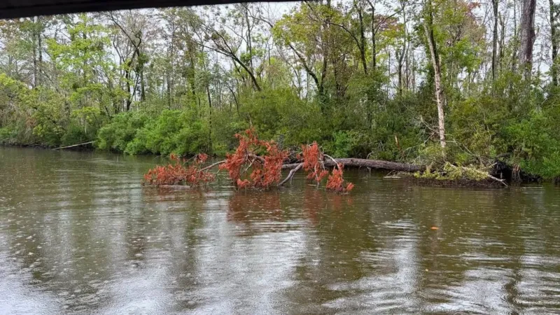 River Bend seeks volunteers for waterways board after river cleanup effort