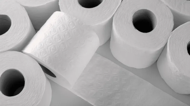Toilet Paper May Get More Expensive and Less Soft as Trade War Escalates, Experts Warn