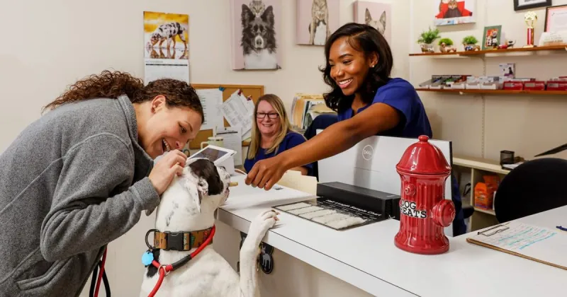 For Pets, a Little Prevention Goes a Long Way
