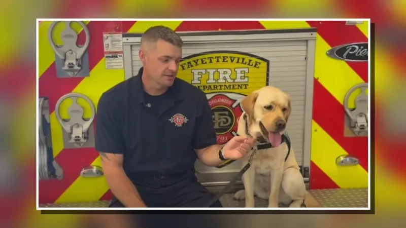 Fayetteville Fire Department welcomes new crisis response dog