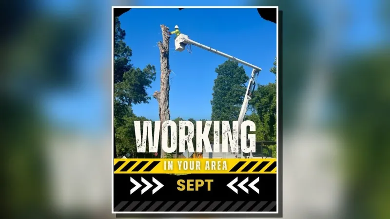 Jones-Onslow EMC crews to tackle September power line work across Eastern N.C.