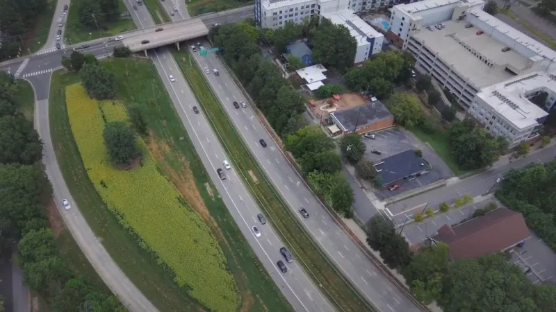 NCDOT urges drivers to report overgrown roadside vegetation that could limit visibility