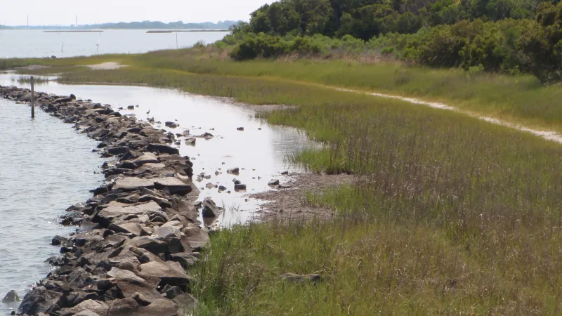 DCM accepting grant applications for community resilience projects