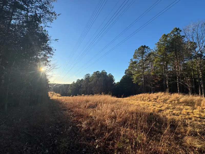 The Evening Hike