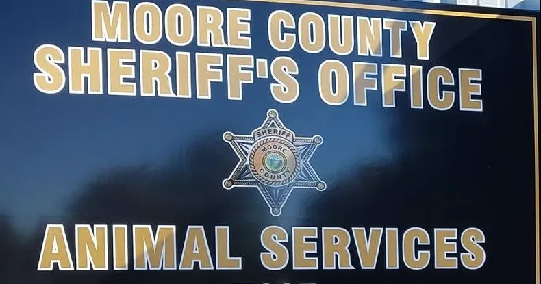 Rabies Case Reported with Raccoon in Pinehurst