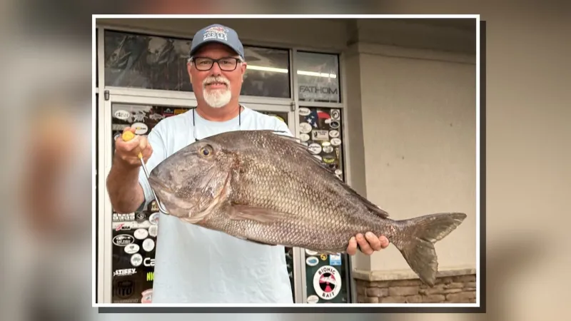 Beaufort angler reels in new North Carolina Jolthead Porgy record