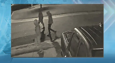 50 Vehicles Targeted In Flowers Community