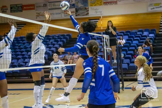 Hawks Battle Through Competitive Sets Against Golden Bears and Pioneers to Close Out Viking Classic