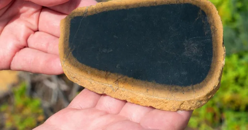 Pink beaches and icebergs in Canada's ancient, alien landscapes
